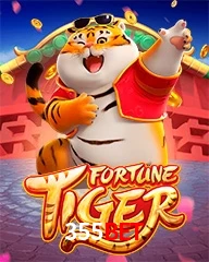 355BET.COM